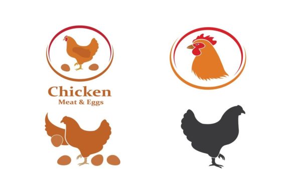 Chicken Vector Illustration Template Set: A Versatile Asset for Modern Creators