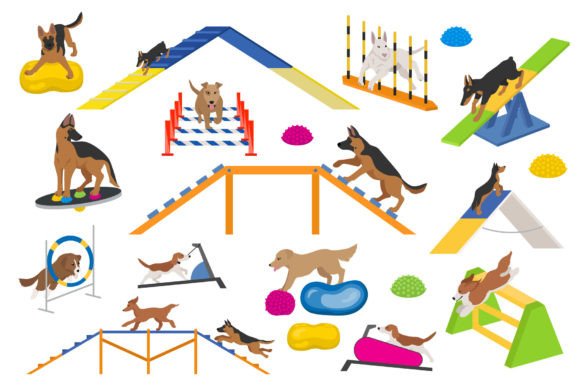 Dog Training and Playground Equipment: A Designer's Guide