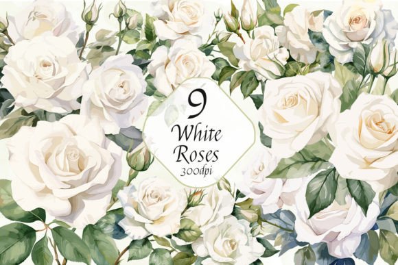 Elevate Your Designs with the White Roses Sublimation Clipart Bundle