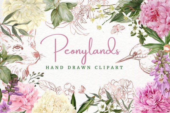 Peony Land: Hand Drawn Clipart for Elegant Design