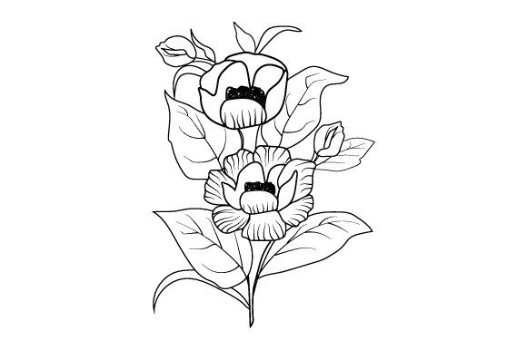 Timeless Appeal: Mastering the Black 7 White Flower Illustration